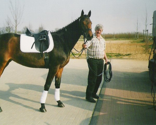 broodmare Natascha (Rhinelander, 1999, from Newcastle) broodmare Natascha (Rhinelander, 1999, from Newcastle)