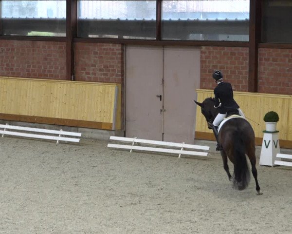 Reitturnier Hamburg-Friedrichshulde/Sylva Kuhrt 2022