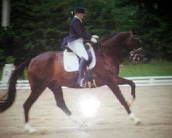 horse Penska Pay (Oldenburg, 1995, from Plaisir d'Amour)