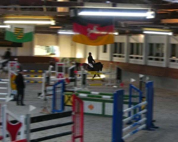 Neujahrsspringen Ströbeck Schachdorf 2022