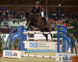 Springpferd Baloubet 4 (Oldenburger Springpferd, 2004, von Balou du Rouet)