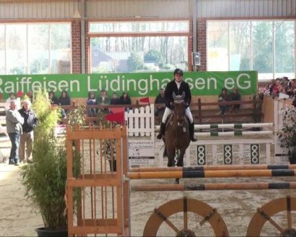 Rosendorf-Classics 2011
Sonntag 20.03.2011
02 Stilspringprüfung Kl.L
Finale Nachwuchsförderpreis