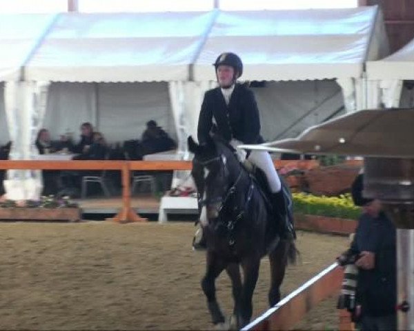 Springturnier Warendorf 2011 
Sonntag, 06.03.2011 
06 Hunterklasse 95er Reiter+Senioren