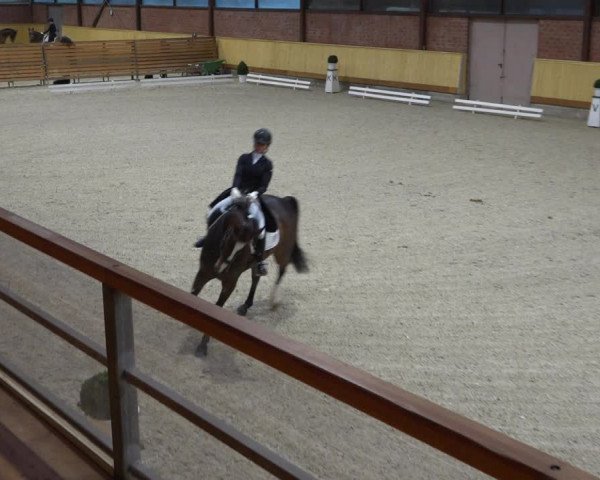 Reitturnier Hamburg-Friedrichshulde/Sylva Kuhrt 2022