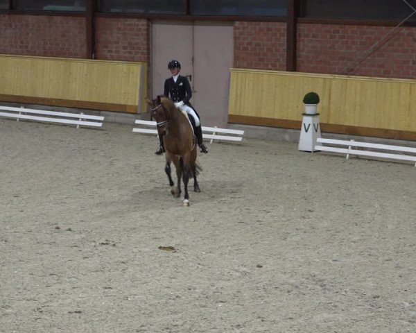 Reitturnier Hamburg-Friedrichshulde/Sylva Kuhrt 2022