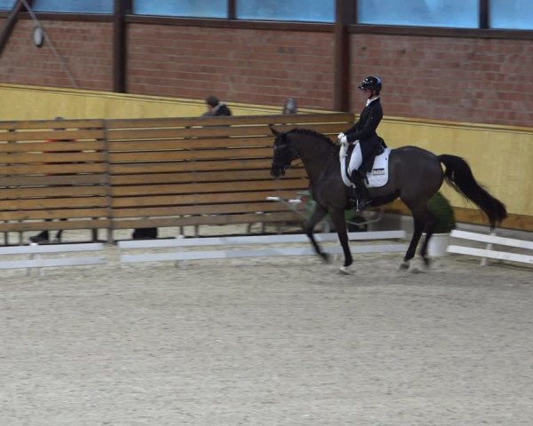 Reitturnier Hamburg-Friedrichshulde/Sylva Kuhrt 2022