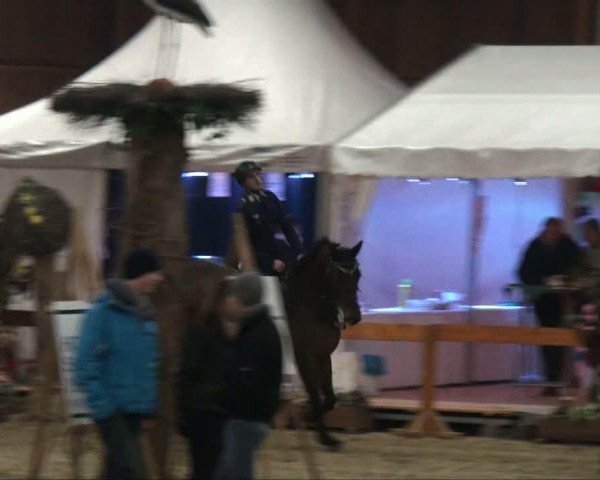 Springturnier Warendorf 2011 Samstag, 05.03.2011 
8 Springprüfung Kl. M+ mit Stechen