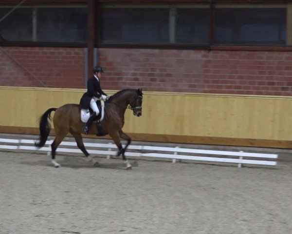 Reitturnier Hamburg-Friedrichshulde/Sylva Kuhrt 2022