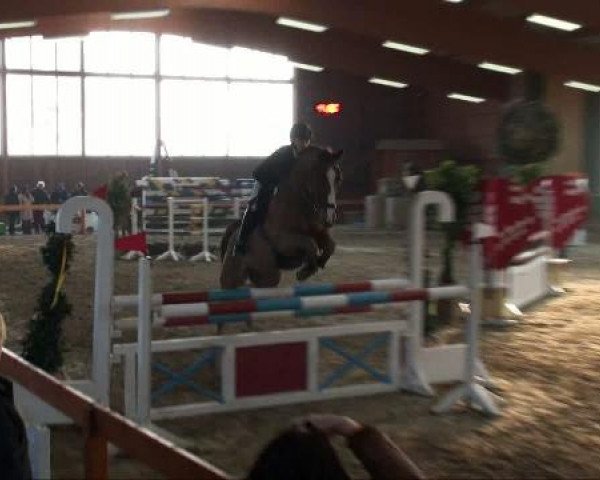 Warendorf-Freckenhorst
04.03.2011
1.2 Stil-Springprüfung Kl. L Junge Reiter