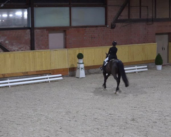 Reitturnier Hamburg-Friedrichshulde/Sylva Kuhrt 2022