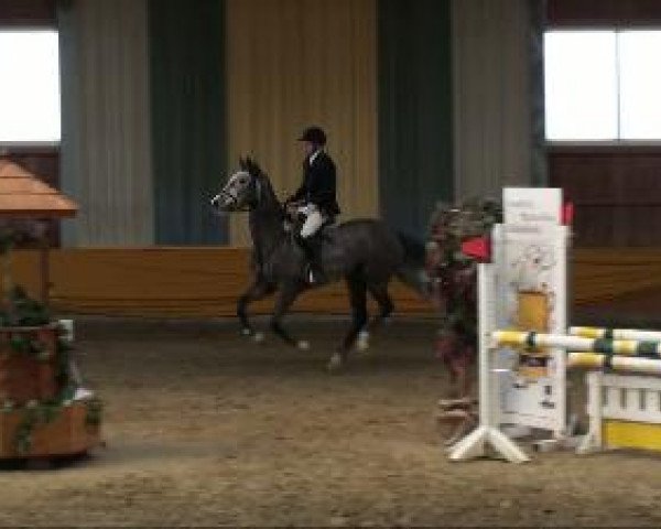Warendorf-Freckenhorst
03.03.2011
7 Springpferdeprüfung KL A++ 5+6j