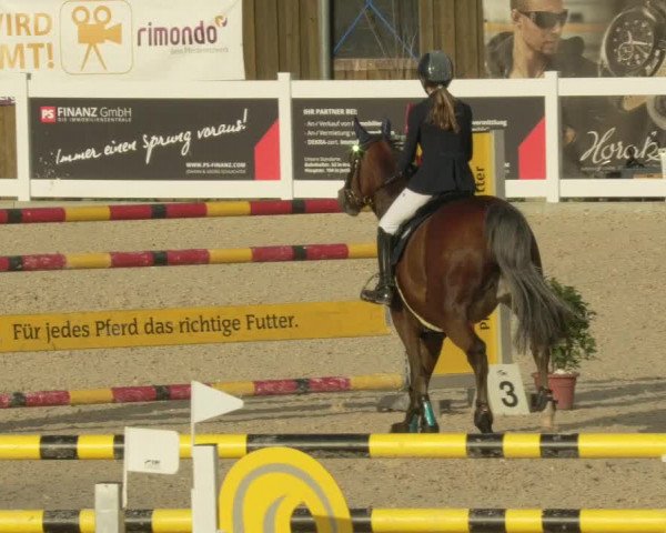 Springturnier Memmingen 2021