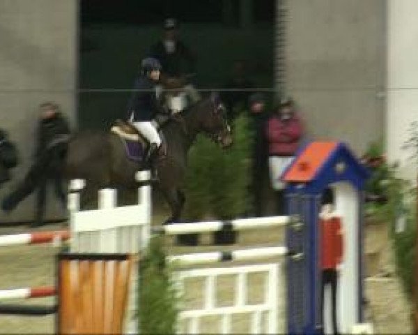 Video of Quintera 7