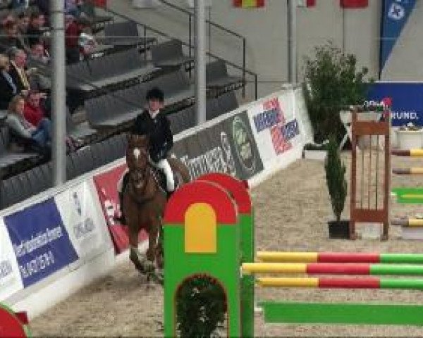 Video of Napoleon 365