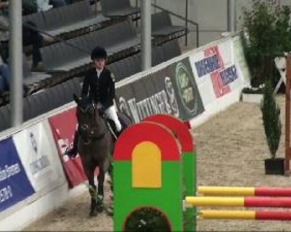Video of Mambo Moscan