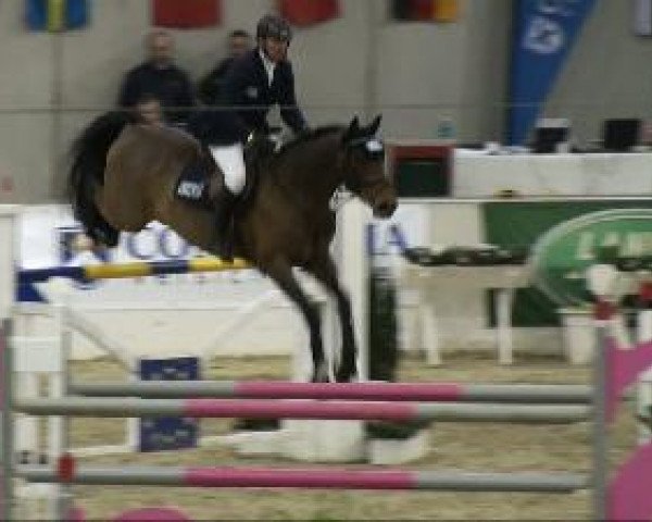 Video von Cefalo