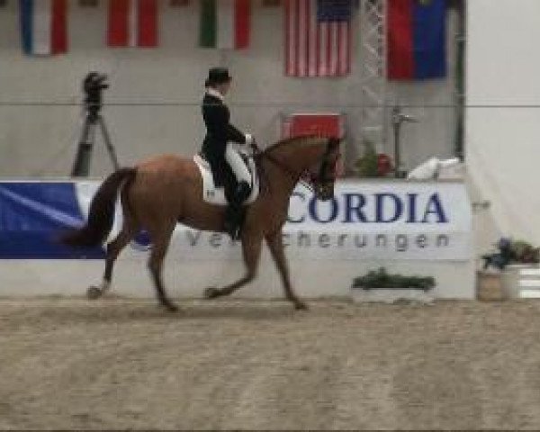 Video di Willow