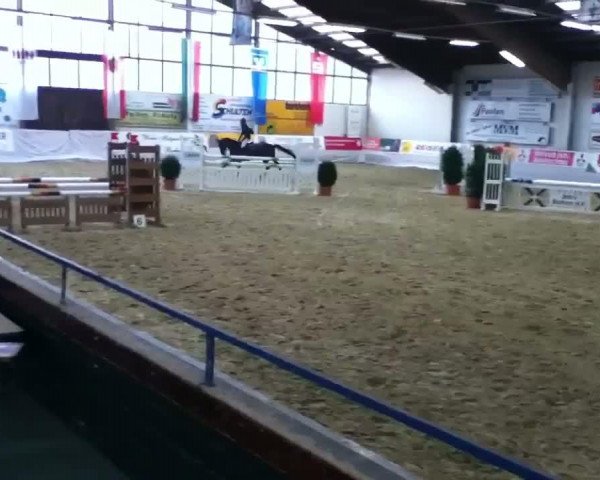 Video of Carla Cassita