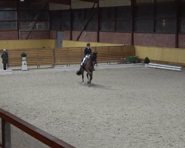 Reitturnier Hamburg-Friedrichshulde/Sylva Kuhrt 2022