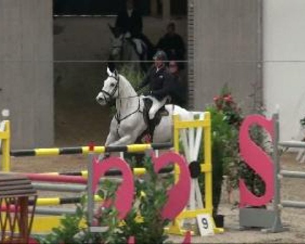 Video von Carena 11