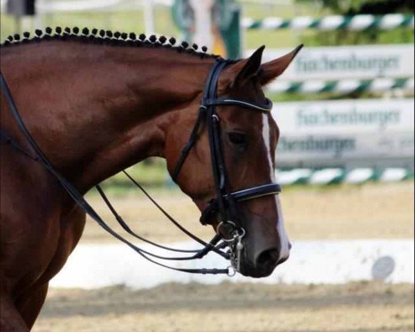 broodmare Florentyne (Westphalian, 2001, from Florestan I)