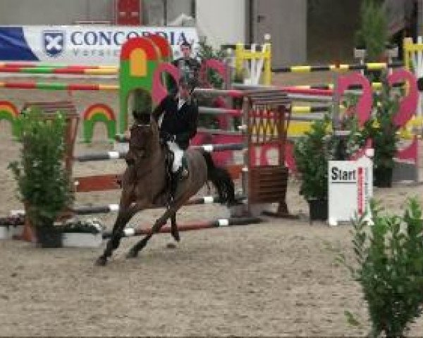 Video of Caddington 4