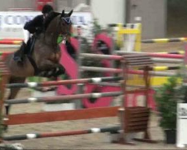 Video of Chester L