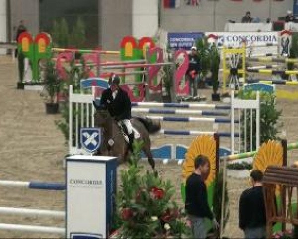 Video di Carriere
