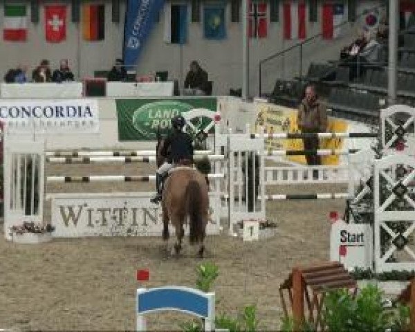 Video von Goldstar 34