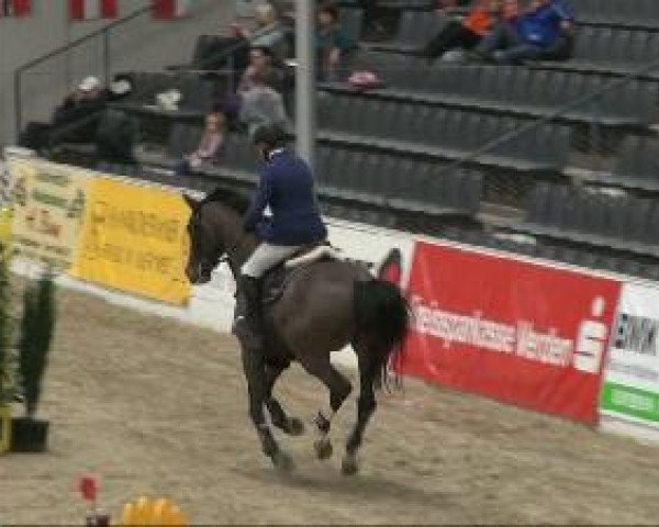 Video of Casals 5