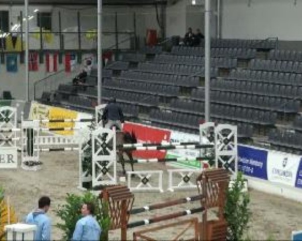 Video von Casparie