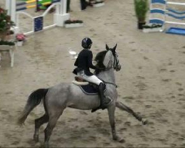 Video von Abrisco T