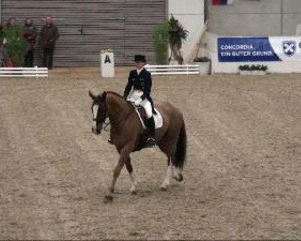Video von Dablino FRH