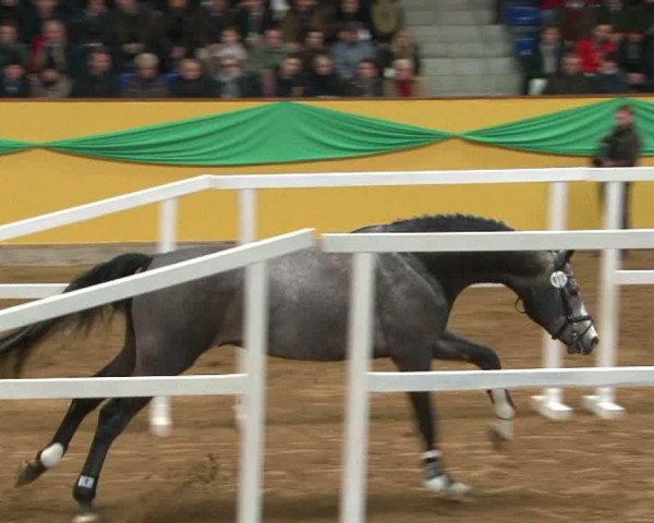 Video von DSP Colfosco