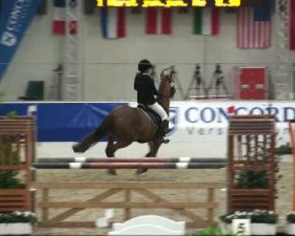 Video of Napoleon 365