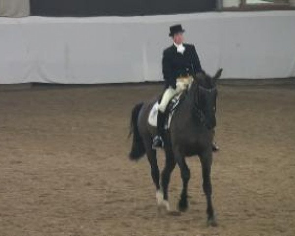 Video von Donna Lauris K