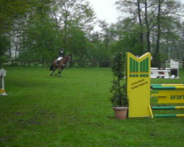 Video of Formidable