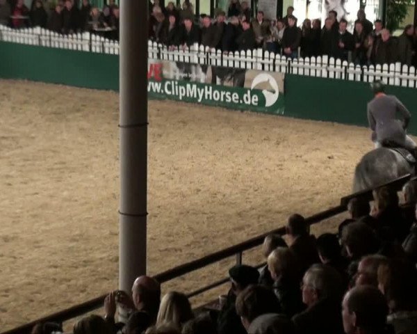Video von Baloussini