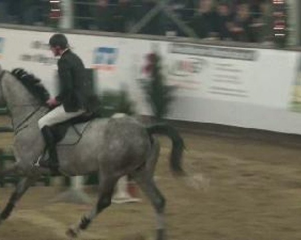 Video de Cumano 2