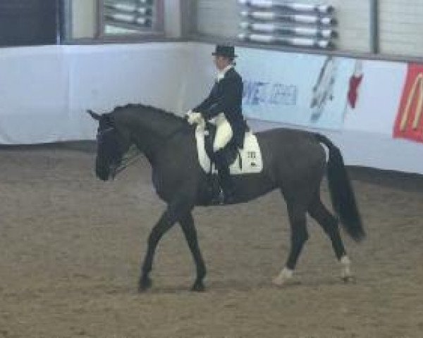 Video von Donna Lauris K