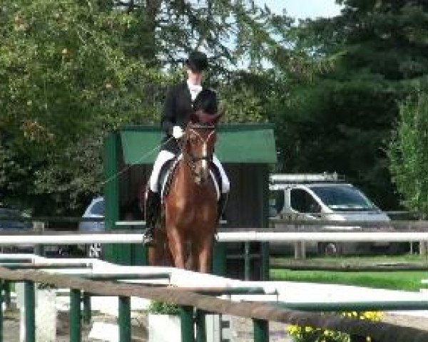 Video of Weltentänzer