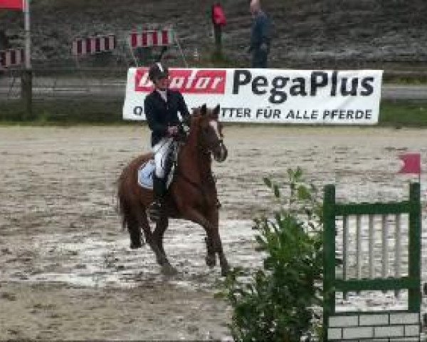 Video of Calypso