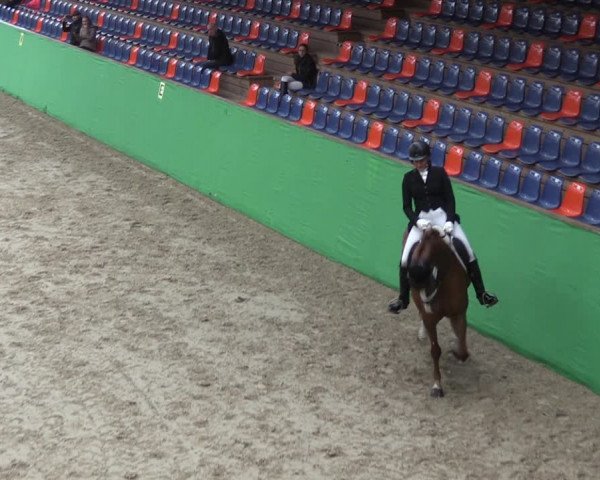 Krumke Hallenturnier mit KM 2021