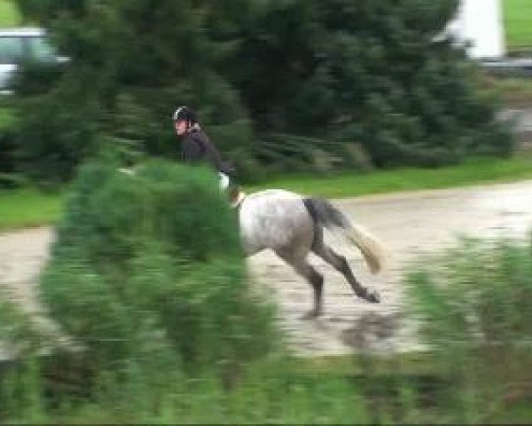 Recklinghausen 2010