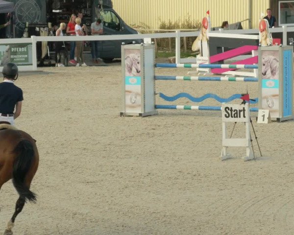 Springturnier Memmingen 2021