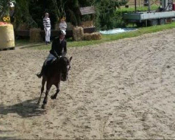 Recklinghausen 2010