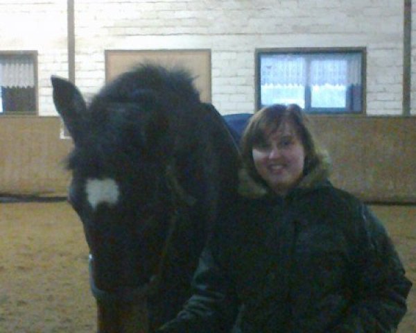 jumper Lanson 14 (Oldenburg, 1997, from Lancetto 93 FIN)