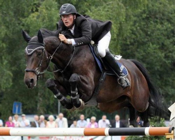 broodmare Mya Mercedes (Westphalian, 2001, from Montender)