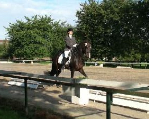 Recklinghausen 2010