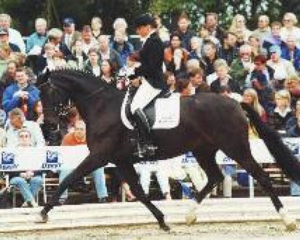 broodmare Dream Lady One M (Zweibrücken, 1997, from Dream of Glory)